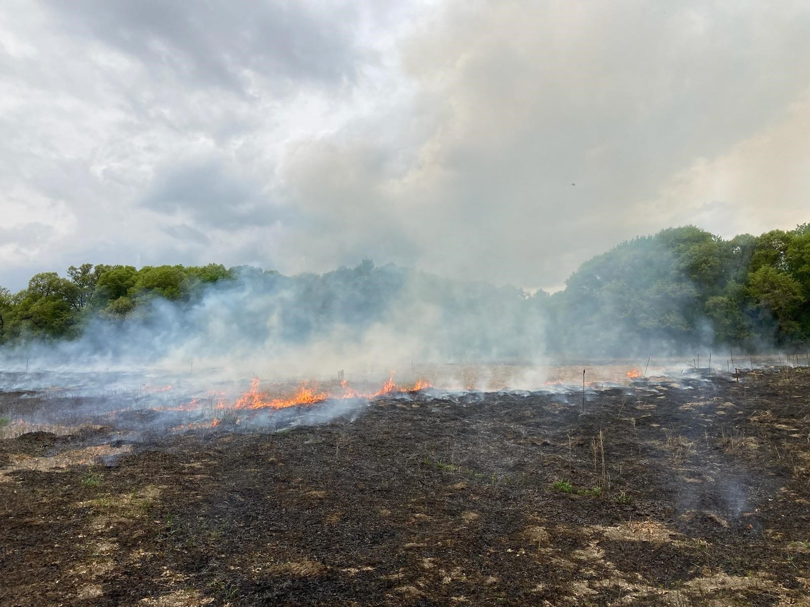 A controlled burn as part of prairie restoration at Mikkelson WMA.